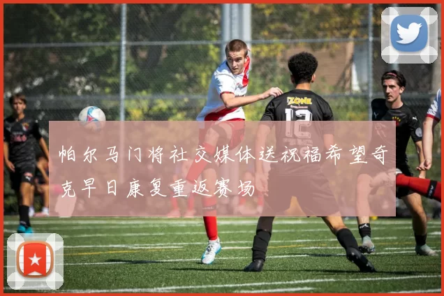 帕尔马门将社交媒体送祝福希望奇克早日康复重返赛场
