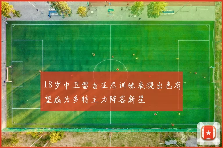 18岁中卫雷吉亚尼训练表现出色有望成为多特主力阵容新星