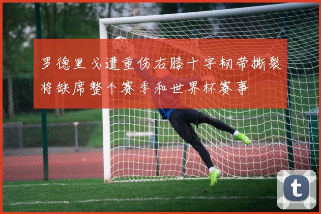 罗德里戈遭重伤右膝十字韧带撕裂将缺席整个赛季和世界杯赛事